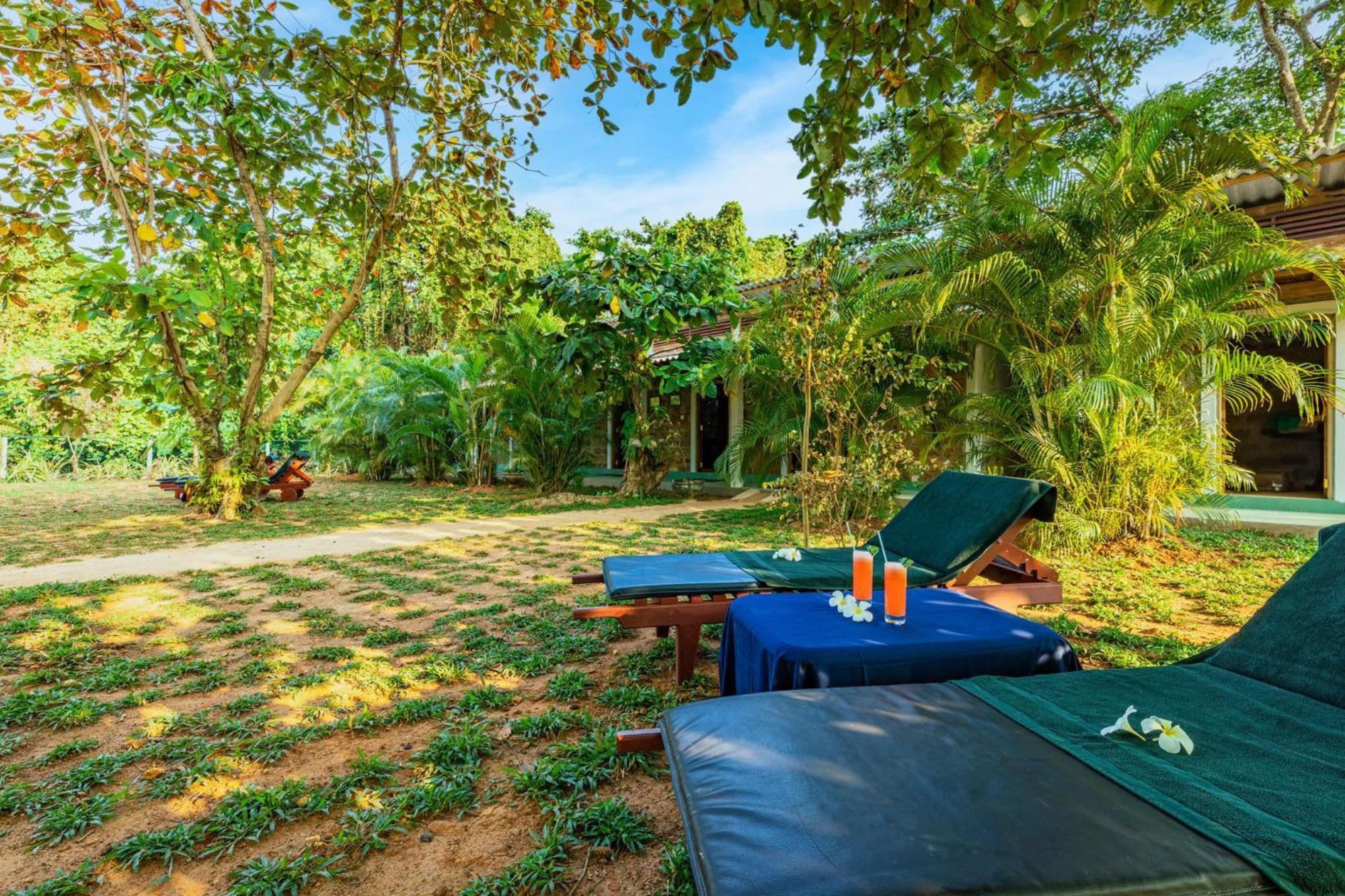 Sath Villa Naadi Ayurveda Resort Moragalla Экстерьер фото